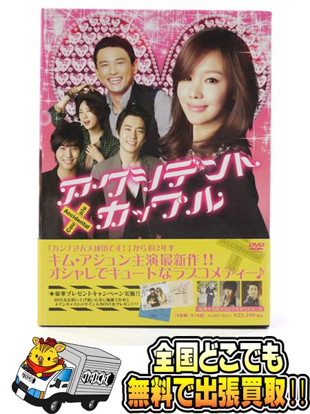 アクシデントカップル 韓流10周年特別企画DVD-BOX〈2014年4月末まで 