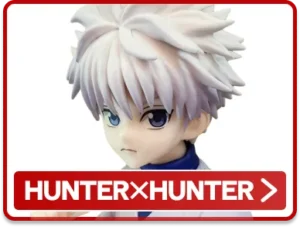 HUNTER X HUNTEER